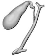 补硒能预防帕金森(预防帕金森的保健品)-硒宝网