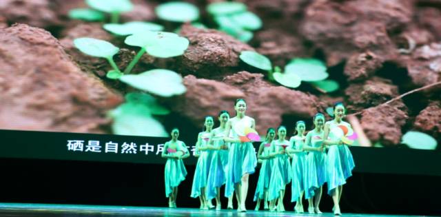 全国科学补硒工程（全民科学补硒工程工作站）-硒宝网