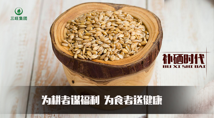 山东济南补硒产品(山东省哪些地方缺硒)-硒宝网