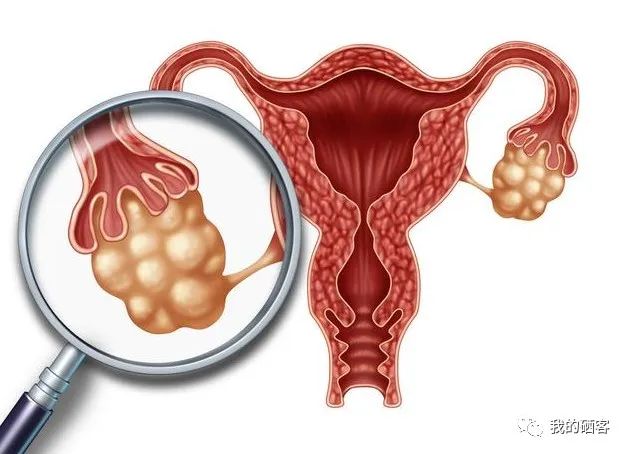 孕妇能补硒元素吗(怀孕能补硒)-硒宝网