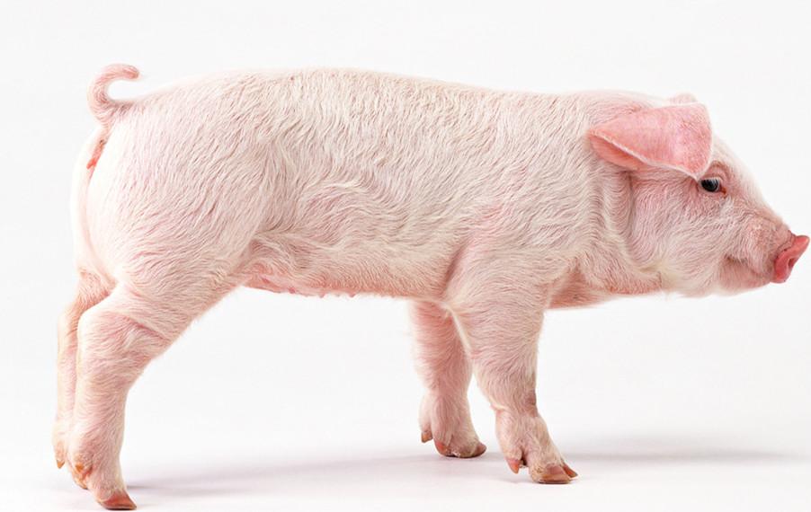 补硒引起眼睛水肿（眼睛水肿是因为肾不好吗）-硒宝网