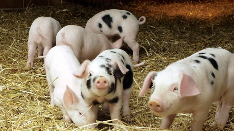 补硒引起眼睛水肿（眼睛水肿是因为肾不好吗）-硒宝网