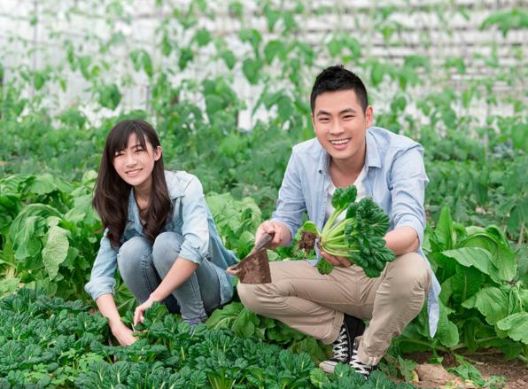 男生备孕补硒好吗(男士备孕补锌还是补硒)-硒宝网