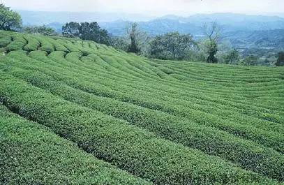 补硒过量有啥症状(过量症状补硒有什么好处)-硒宝网