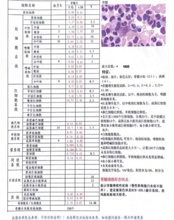 补硒为升高白细胞(升高细胞补白硒为什么不好)-硒宝网