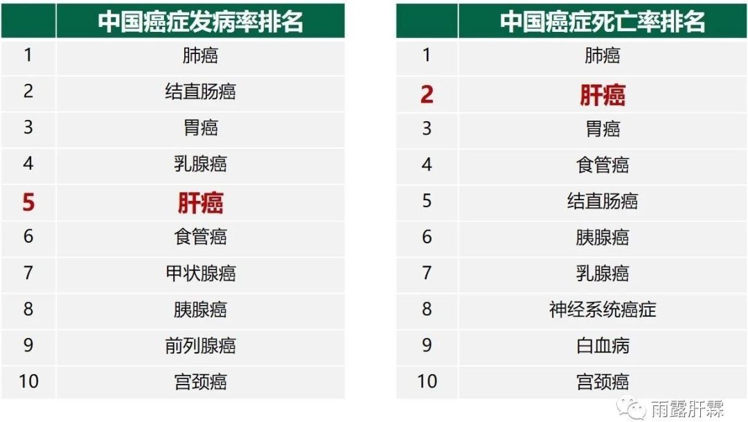 肝癌补硒对肝危害（硒对肝癌）-硒宝网