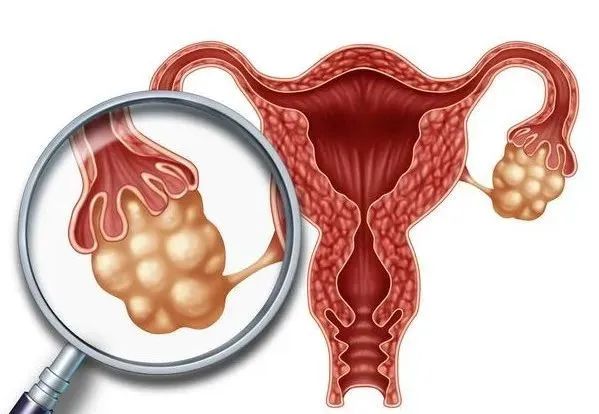 孕妇能补硒元素吗(孕妇能补元素硒吗)-硒宝网