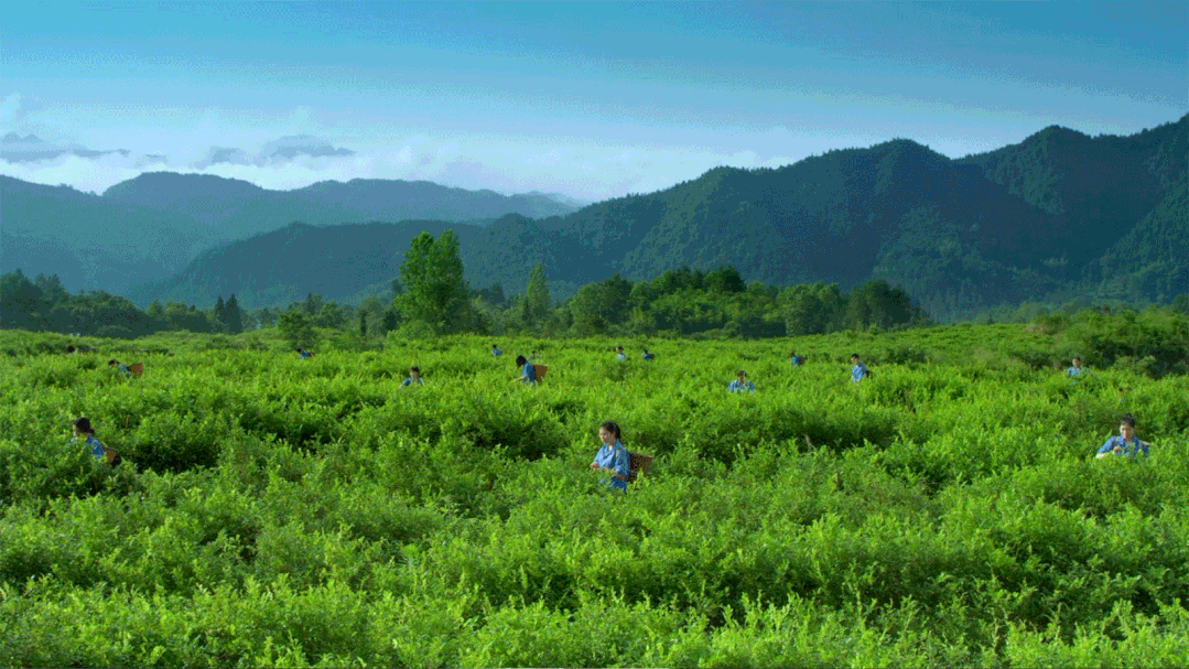 孕妇能补硒元素吗(孕妇能补元素硒吗)-硒宝网