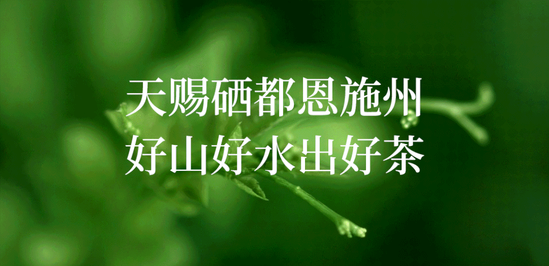 孕妇能补硒元素吗(孕妇能补元素硒吗)-硒宝网