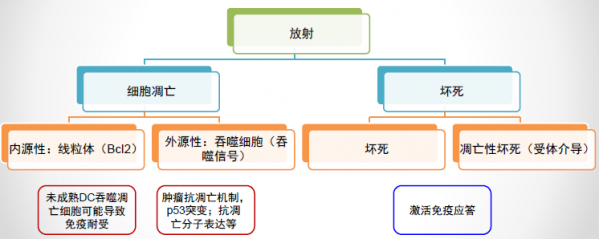 大剂量补硒抗肿瘤(肿瘤补硒产品哪个好)-硒宝网