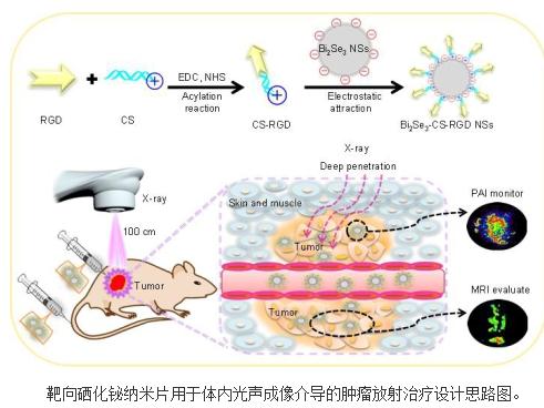 大剂量补硒抗肿瘤(肿瘤补硒产品哪个好)-硒宝网