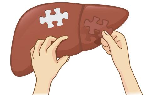 乙肝携带需补硒吗（乙肝患者补硒有用吗）-硒宝网