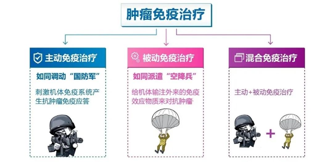 低白细胞需要补硒（细胞补低白需要硒元素吗）-硒宝网