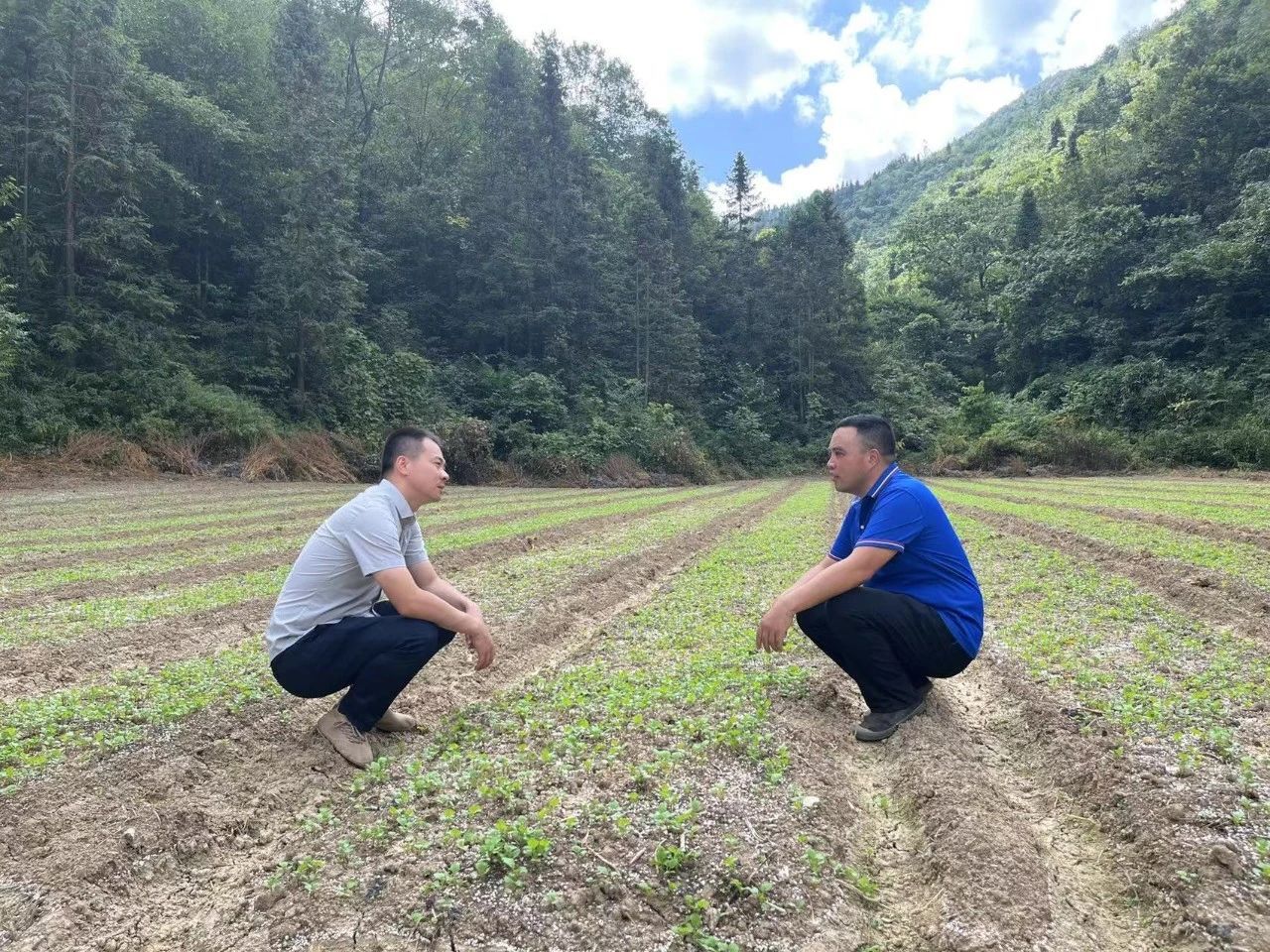 全国补硒科普教育(硒科普知识问卷)-硒宝网