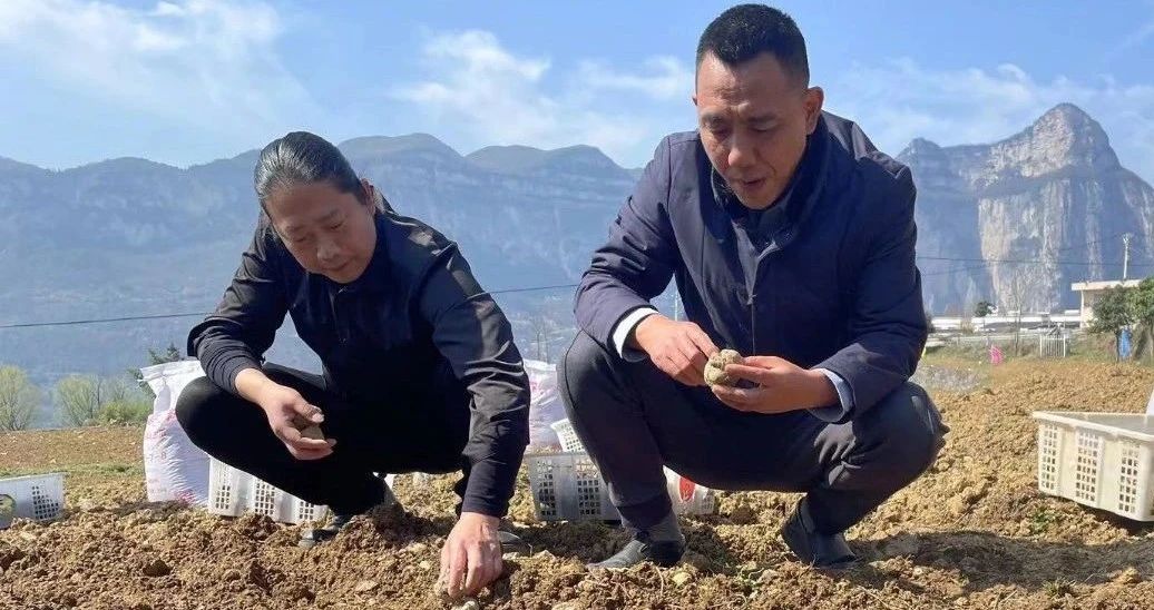 全国补硒科普教育(硒科普知识问卷)-硒宝网