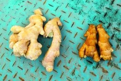 人体补硒从何而来（人体补硒有什么好处）-硒宝网