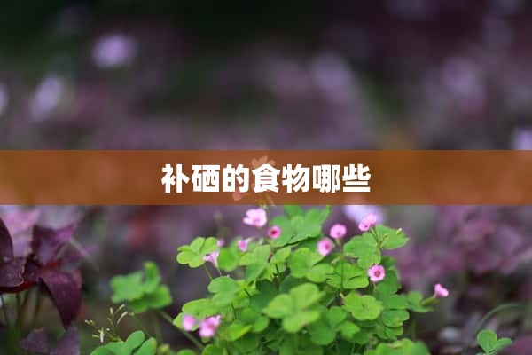 补硒做什么菜最好（补硒的食材）-硒宝网