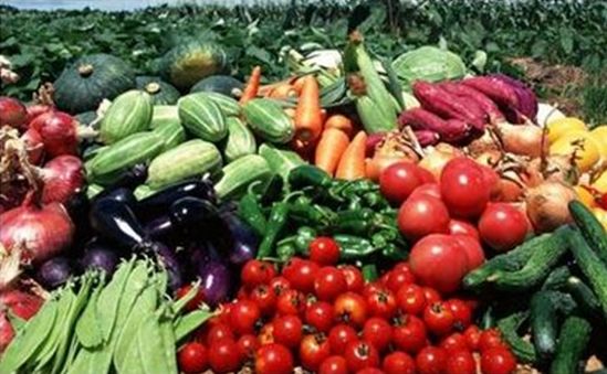 晒月亮可以补硒吗(晒太阳补硒)-硒宝网