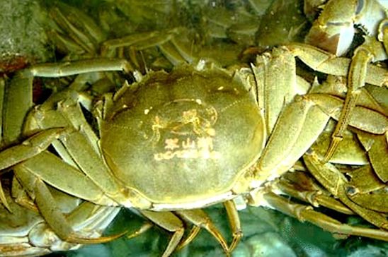 晒月亮可以补硒吗(晒太阳补硒)-硒宝网