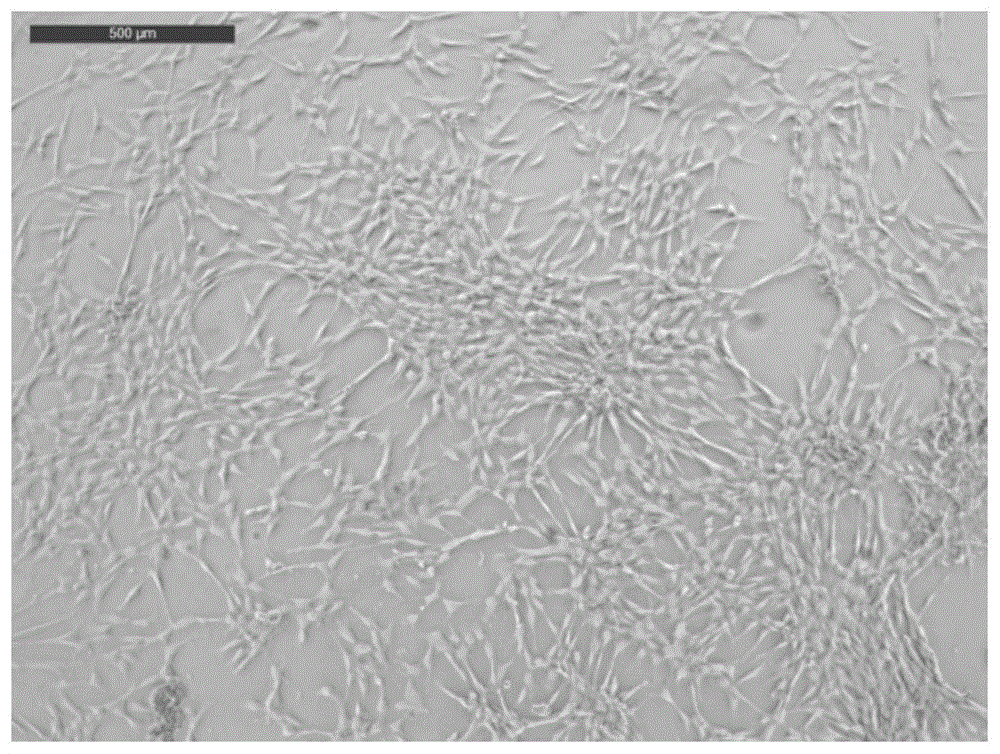 肺癌补硒研究成果(肺癌补硒)-硒宝网