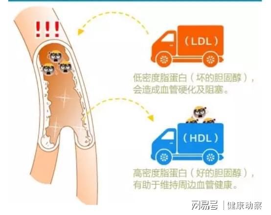 冠心病补硒量多少(冠心病可以补硒吗)-硒宝网