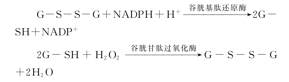 猪补硒用什么好处(猪补硒用什么药)-硒宝网