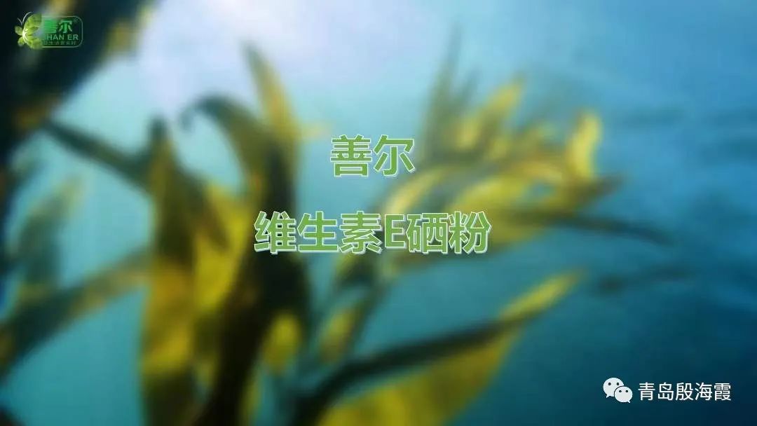 补硒的正确观念是(补硒的正确观念是)-硒宝网