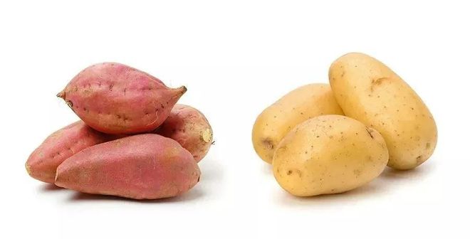 哪种菜是补硒食物（补种菜食物硒是多少）-硒宝网