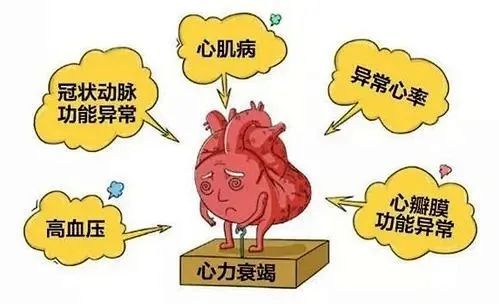 心?；颊咴跹刮ㄐ墓２蛊罚?硒宝网