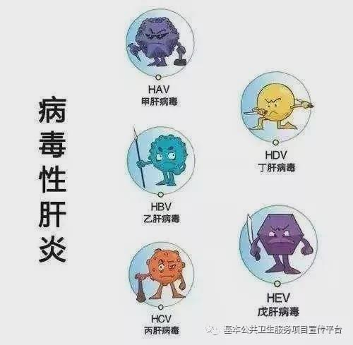 乙肝病人如何补硒(病人补乙肝硒片有用吗)-硒宝网