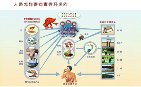 乙肝病人如何补硒(病人补乙肝硒片有用吗)-硒宝网