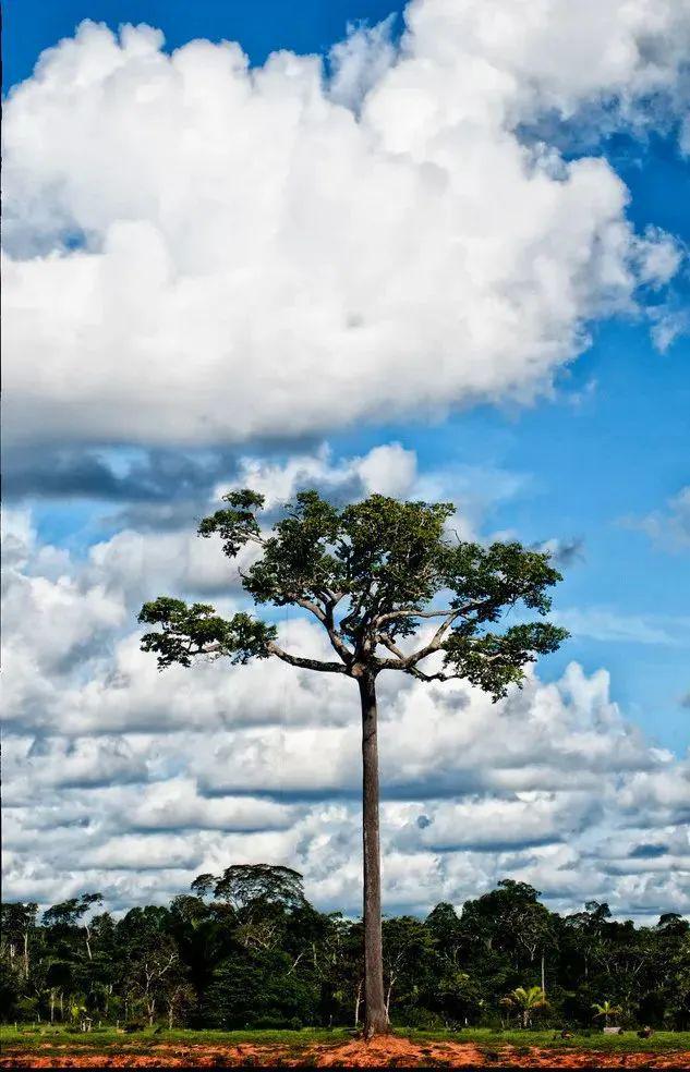 吃坚果可以补硒么(坚果含硒高的食物有哪些)-硒宝网