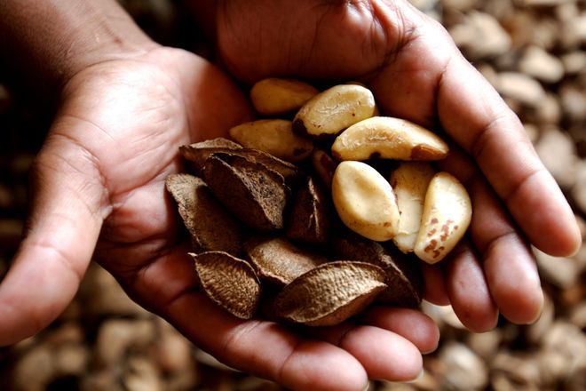 吃坚果可以补硒么(坚果含硒高的食物有哪些)-硒宝网