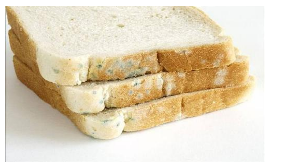 啥水果补维硒最好（硒对水果的作用）-硒宝网