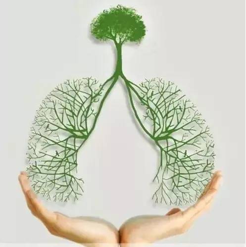 肺腺癌需要补硒吗(肺癌补硒吃什么药)-硒宝网