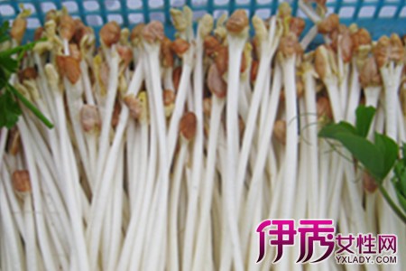 花生怎么吃补硒的（花生含硒丰富吗）-硒宝网