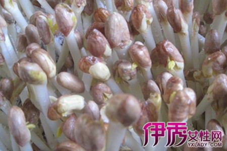 花生怎么吃补硒的（花生含硒丰富吗）-硒宝网