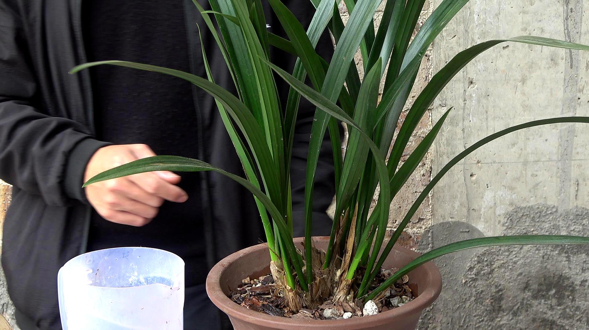 孩子缺硒要怎么补（缺补孩子硒要吃多久）-硒宝网