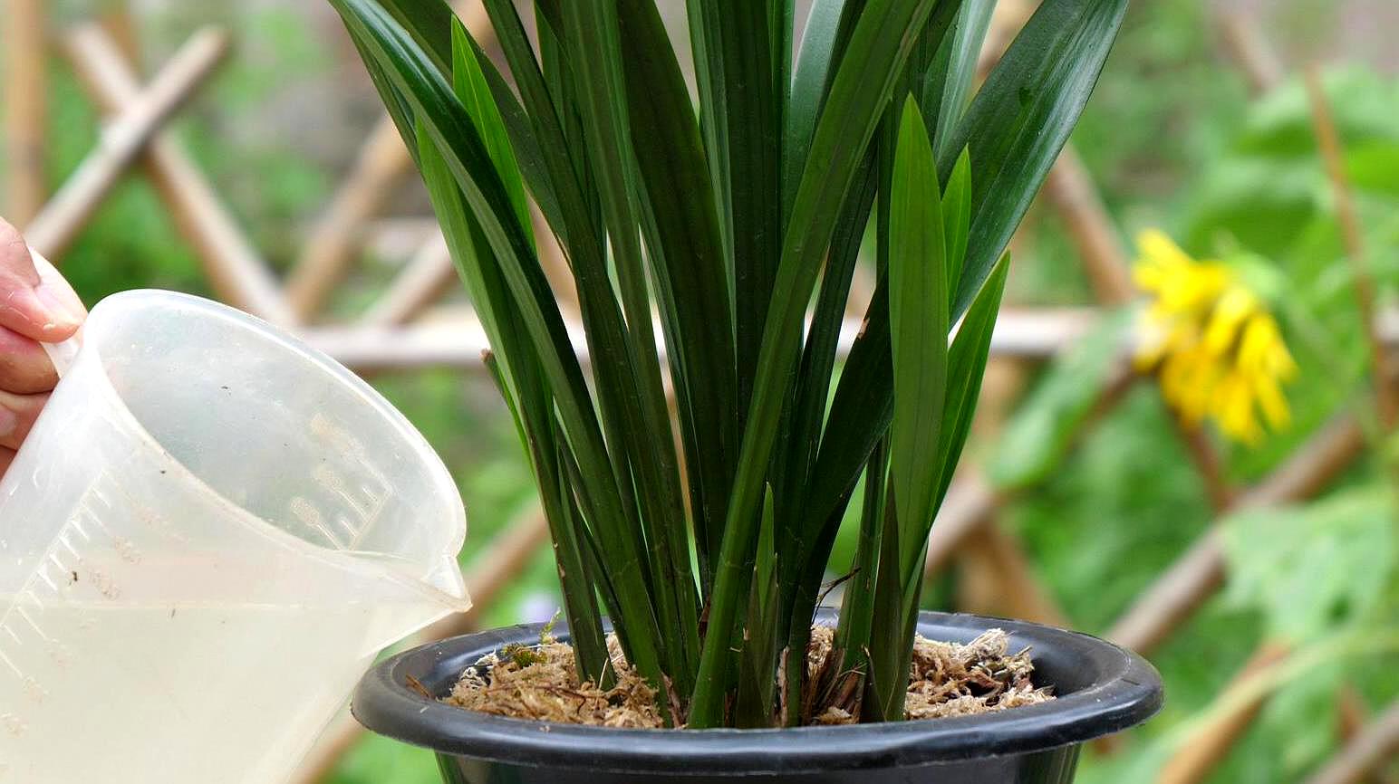 孩子缺硒要怎么补（缺补孩子硒要吃多久）-硒宝网