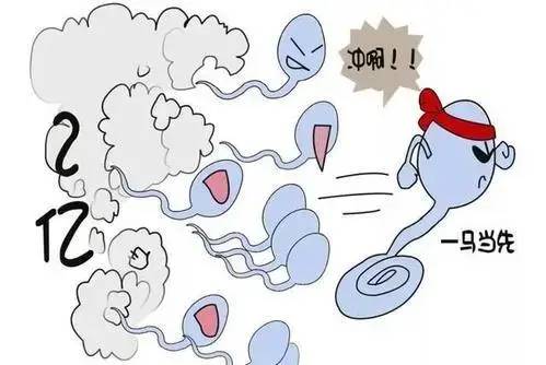 锌硒备孕期补多少（备孕要补锌硒生男孩吗）-硒宝网