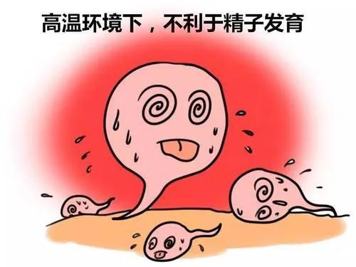 锌硒备孕期补多少（备孕要补锌硒生男孩吗）-硒宝网