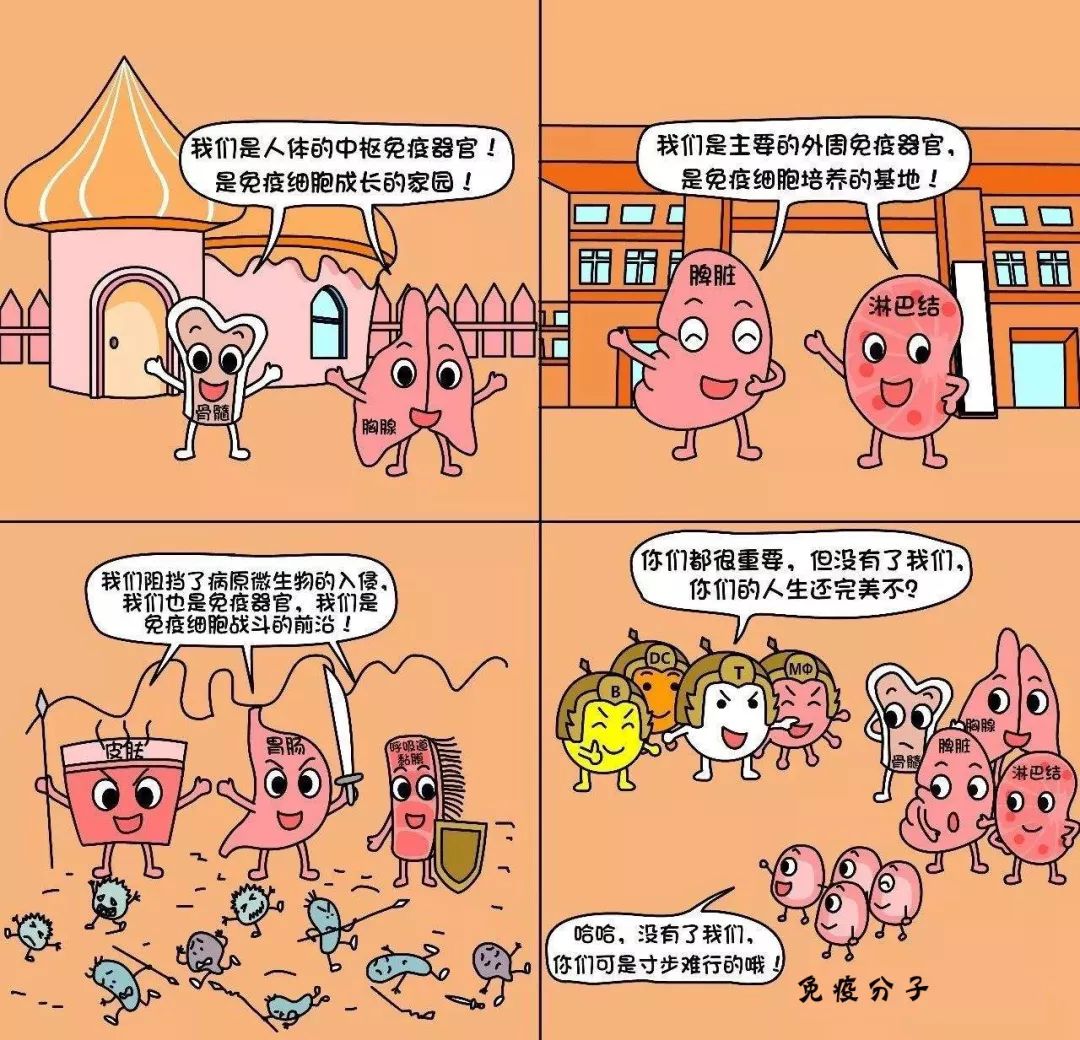 如何和家人来补硒（如何和家人来补硒）-硒宝网