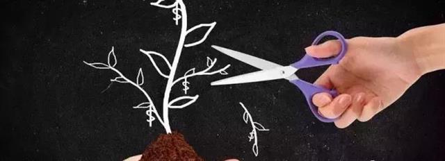 不同人群补硒量表（不同人群补硒用量参考表）-硒宝网