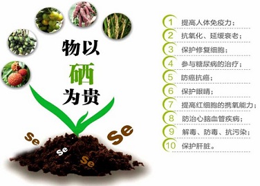 光靠食物能补硒不（可以补充硒的食物）-硒宝网