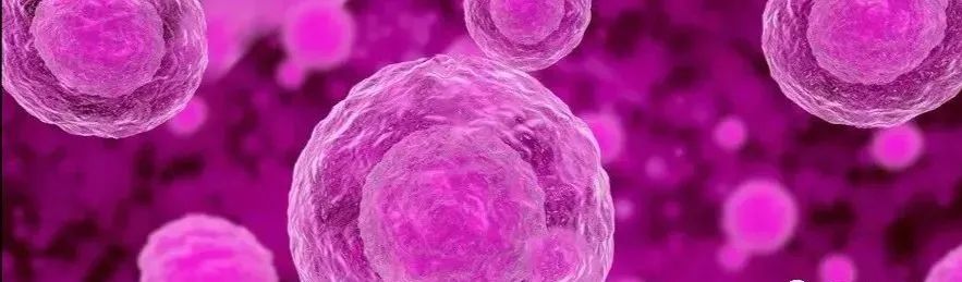 补硒服用量是多少(补硒过量如何解决)-硒宝网