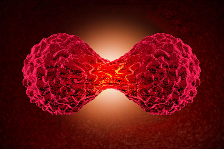 中药有补硒功效吗（硒中药）-硒宝网