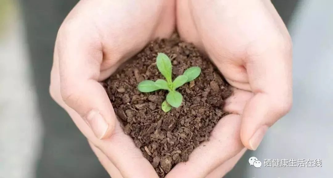 补硒服用量是多少(服用补量硒是饭后吃吗)-硒宝网