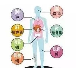 缺硒可以大量补吗(缺补大量硒可以补充什么)-硒宝网