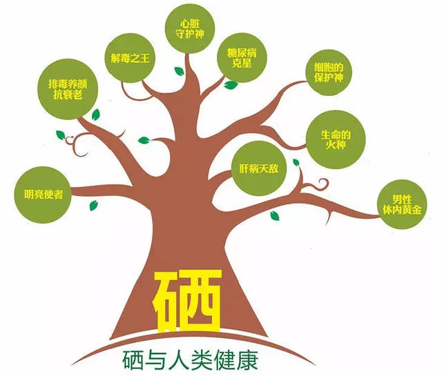 硒是人人都要补吗(人需要补硒)-硒宝网