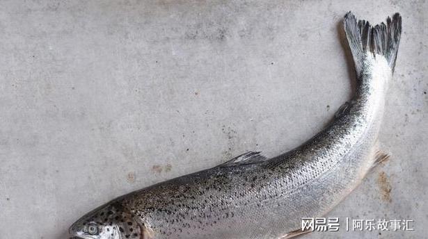 甲状腺要不要补硒（要补甲状腺硒片吗）-硒宝网